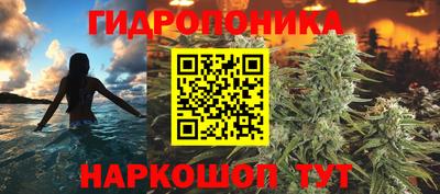 apvp Краснознаменск